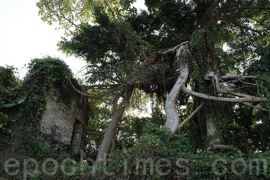 超強颱風「山竹」吹襲後廟宇兩層坍塌，形成的獨特的「空中之樹」一景。（陳仲明／大紀元）