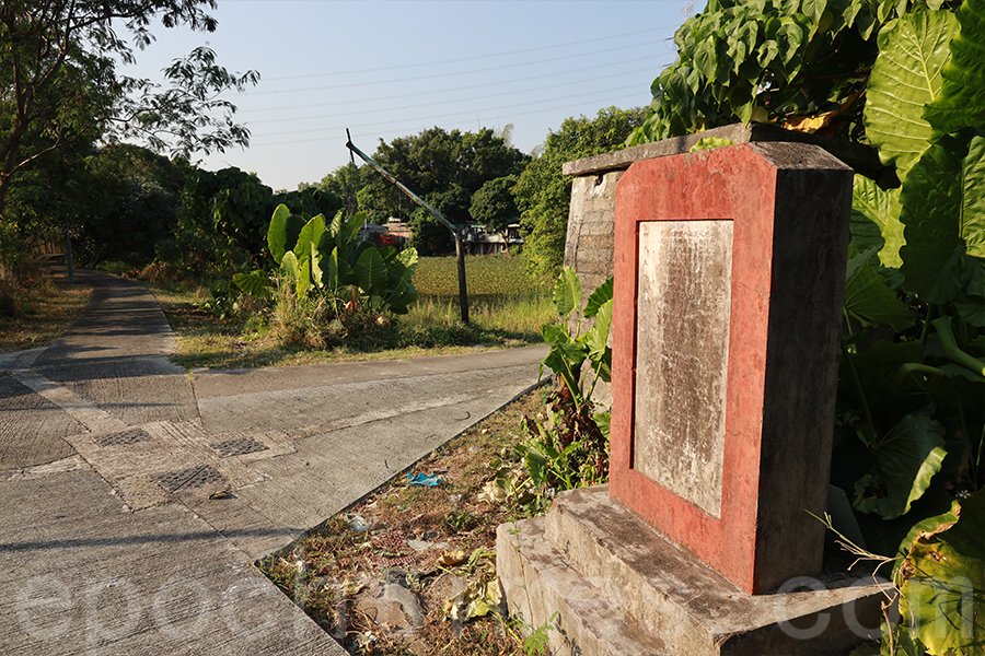 在梧桐河畔還有一個碑石，這是1954年政府在梧桐河維修的梯級形的石壩，以防洪水，立碑為證。（陳仲明／大紀元）